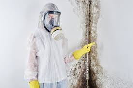 Why You Should Choose Our Mold Remediation Services in Zelienople, PA